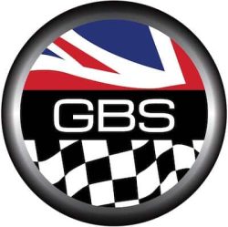 The GBS LOGO